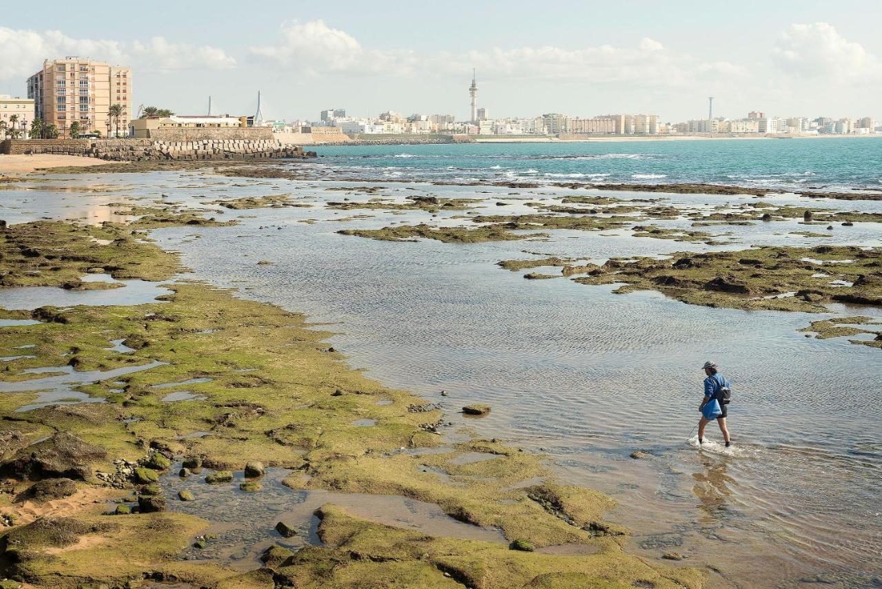 Atico En El Centro Con Terraza Daire Cadiz Dış mekan fotoğraf
